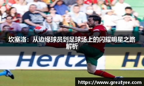 jn江南·体育登录入口