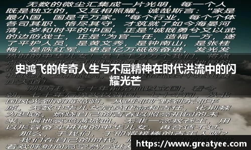史鸿飞的传奇人生与不屈精神在时代洪流中的闪耀光芒
